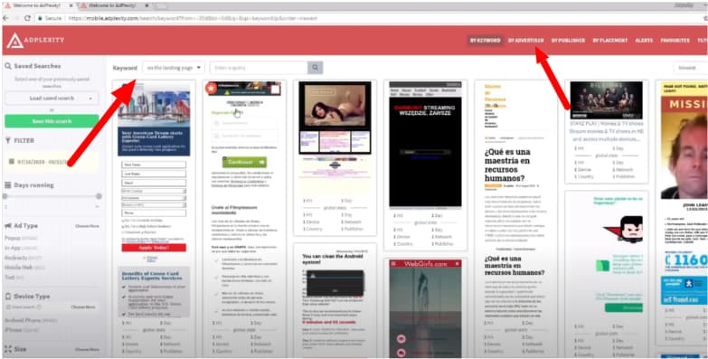 Search for a Keyword or Domain